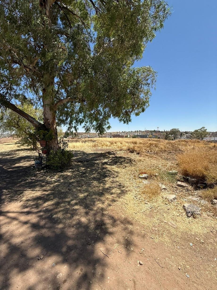 Land in Aguascalientes, Aguascalientes, Mexico 5 - 16810714