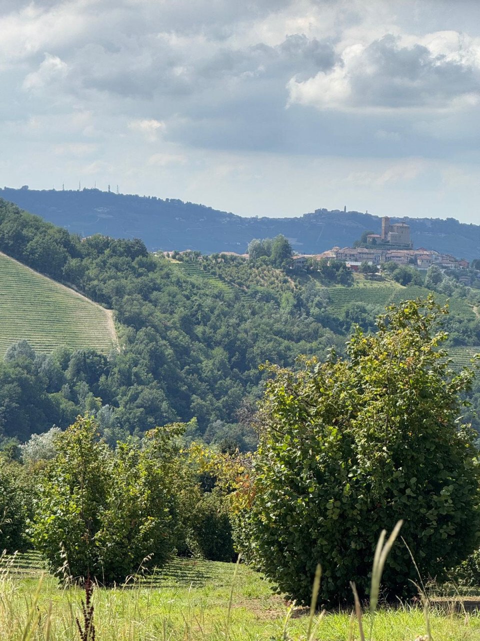 Land in Sinio, Piedmont, Italy 3 - 16812430