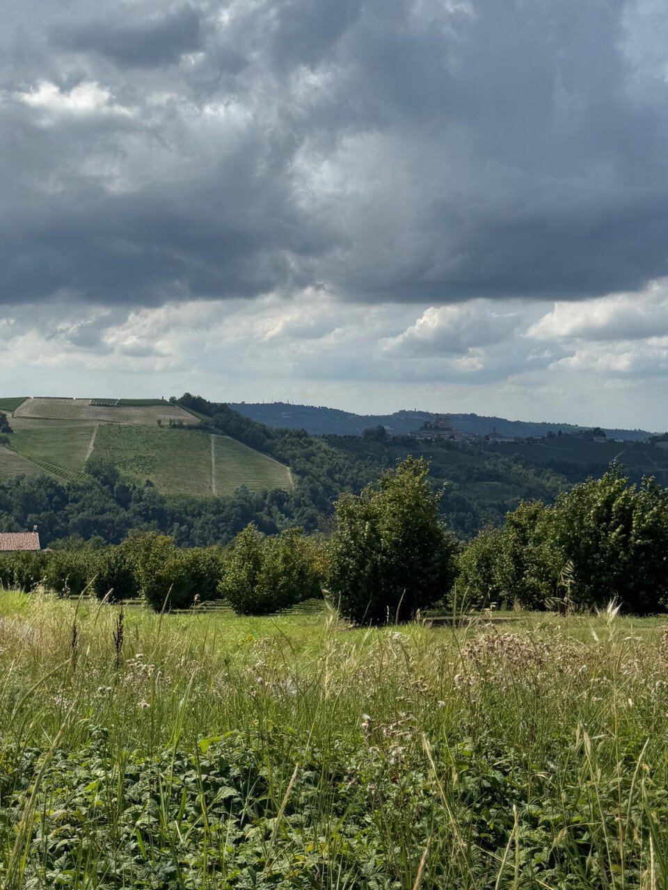 Land in Sinio, Piedmont, Italy 5 - 16812430