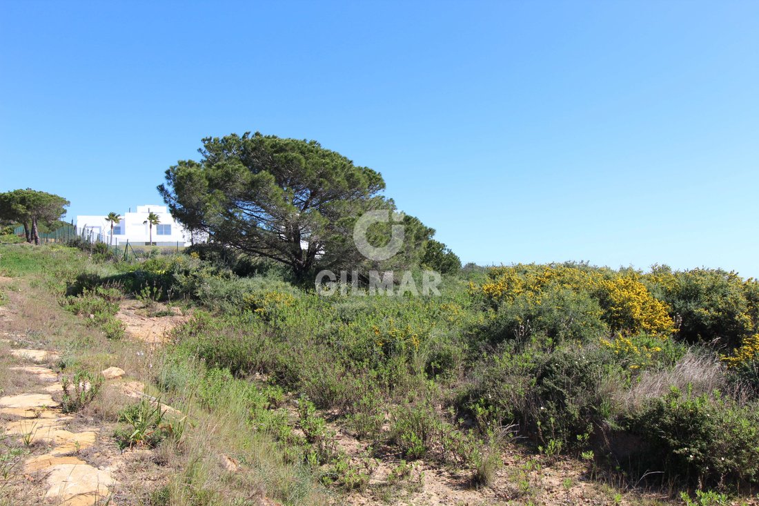 Villa in Sotogrande, San Roque, Andalusia 4 - 16810848