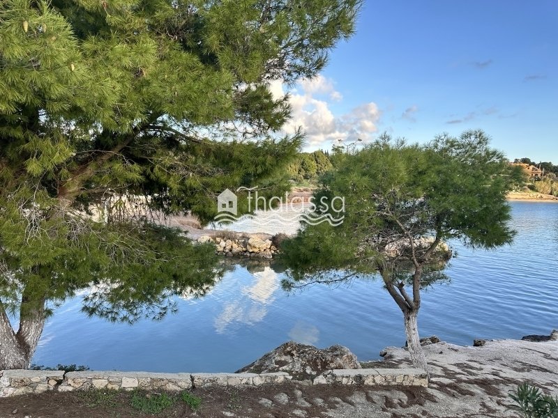Land in Paliki, Peloponnese, Western Greece and the Ionian, Greece 2 - 16810135