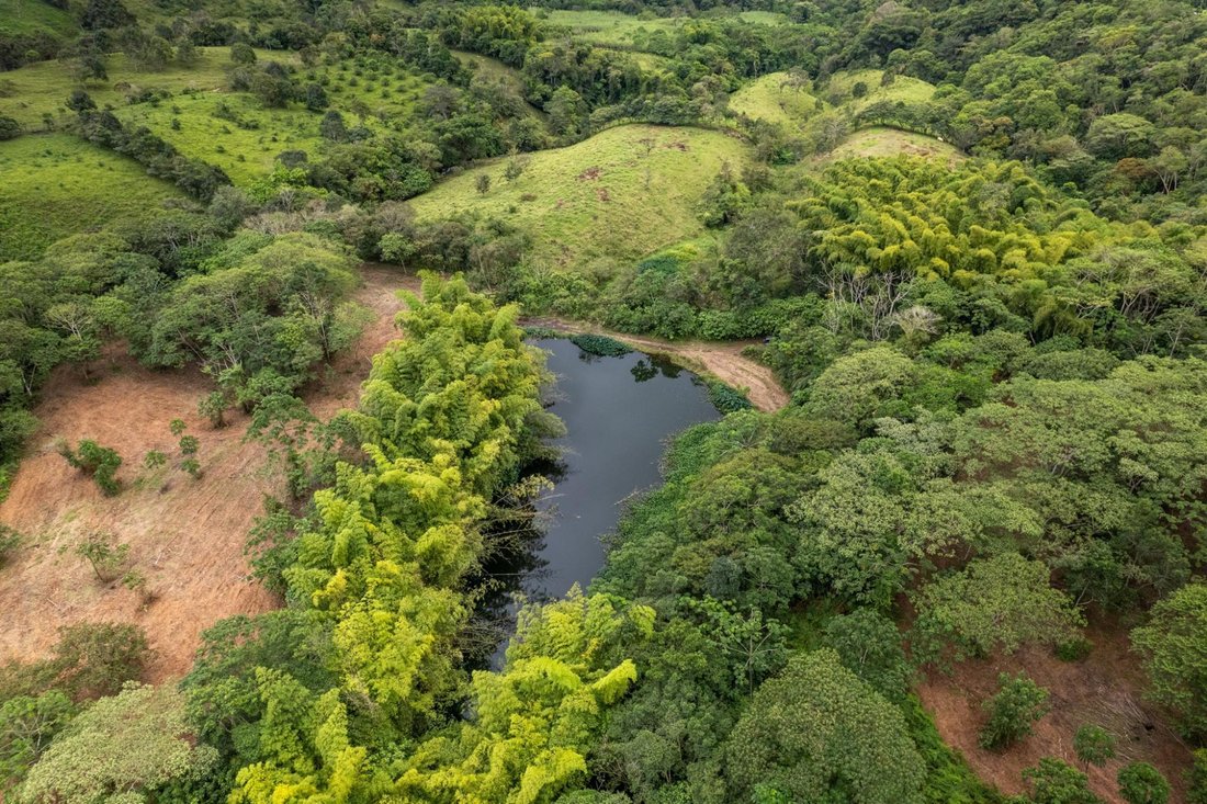 Land in Rovira Abajo, Chiriquí Province, Panama 5 - 16813128