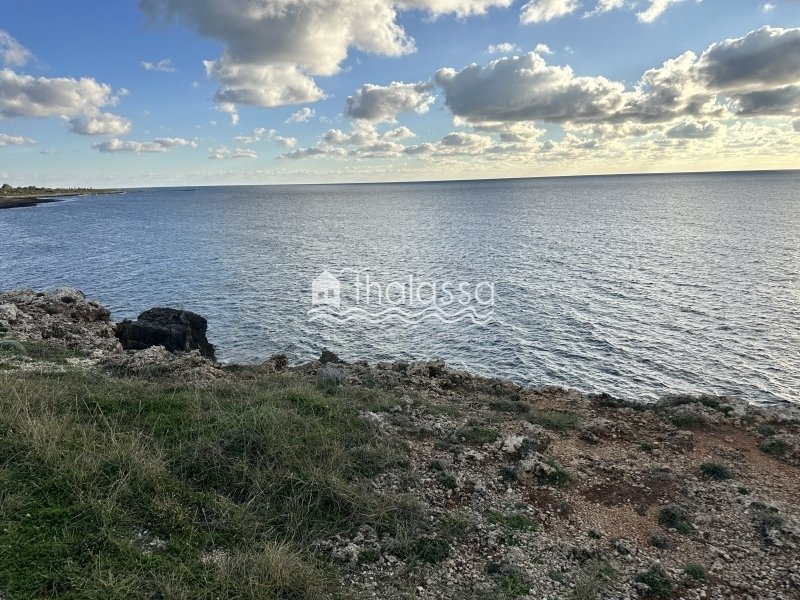 Land in Paliki, Peloponnese, Western Greece and the Ionian, Greece 5 - 16810135