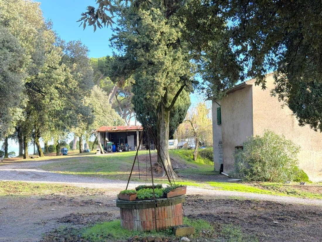 Villa in Castel Viscardo, Umbria, Italy 5 - 16813077