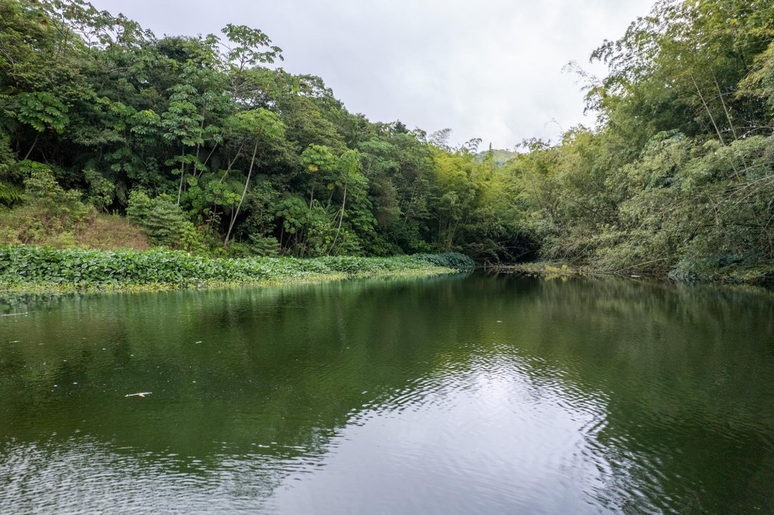 Land in Rovira Abajo, Chiriquí Province, Panama 4 - 16813128