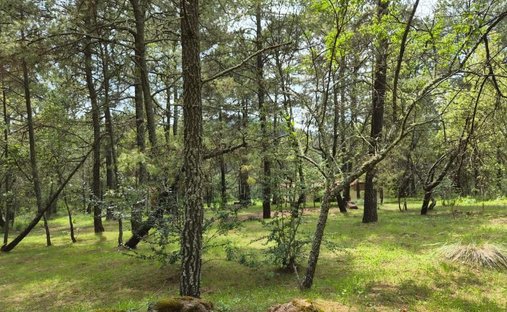 Land in Ferrería de Tula, Jalisco, Mexico 1