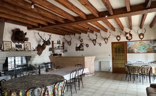 Castle for Sale in Amboise, Centre-Val de Loire, France