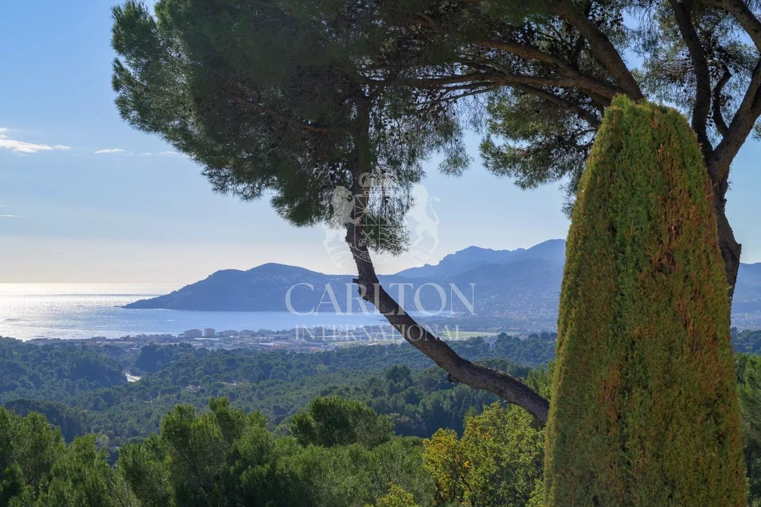 Villa in Mougins, Provence-Alpes-Côte d'Azur, France 1 - 16810123