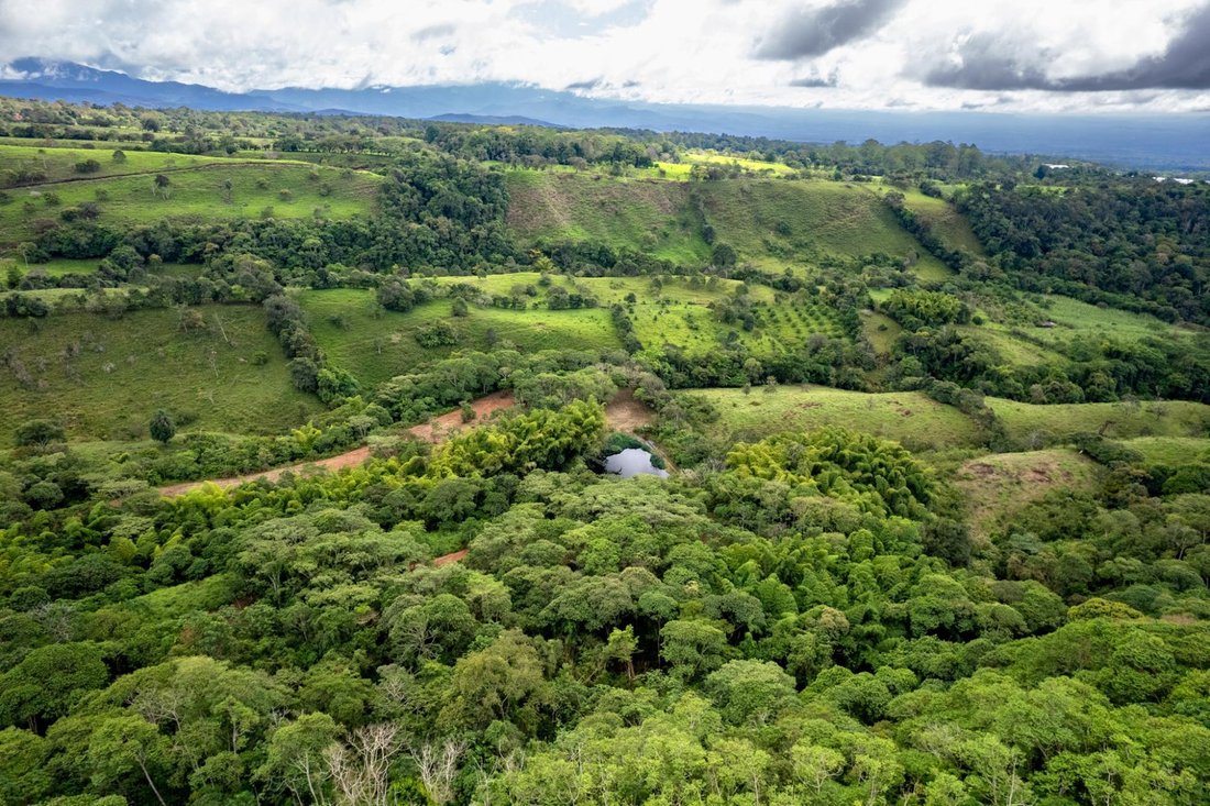 Land in Rovira Abajo, Chiriquí Province, Panama 1 - 16813128