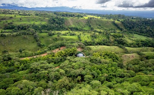 Terreno a Rovira Abajo, Distretto di Barú, Panamá 1