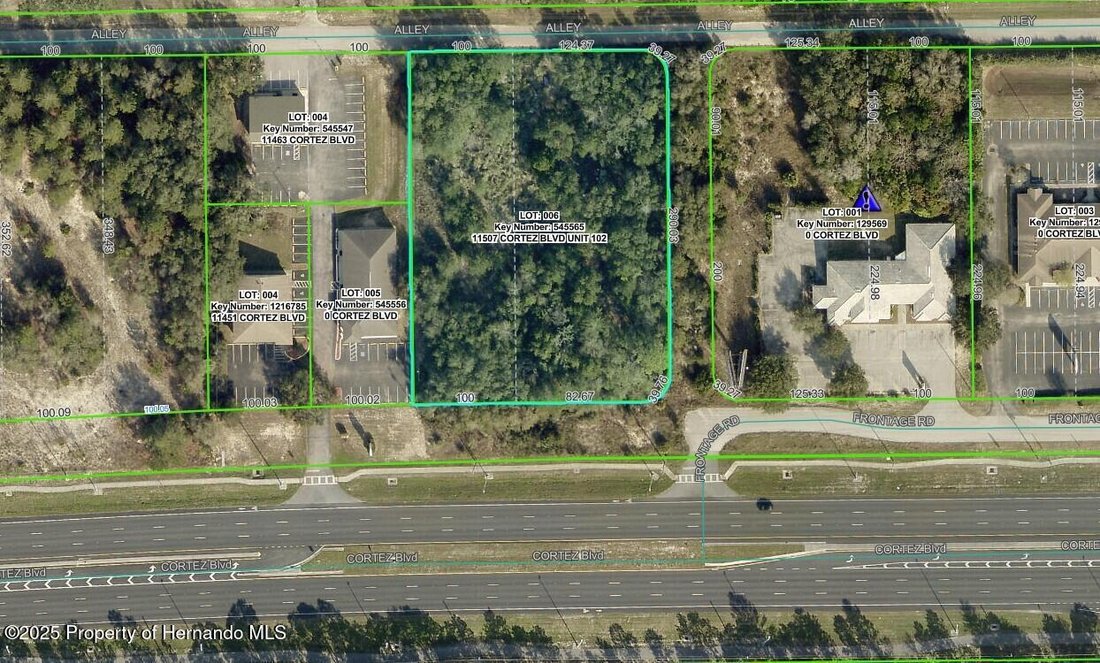Land in South Brooksville, Florida, United States 1 - 14636366