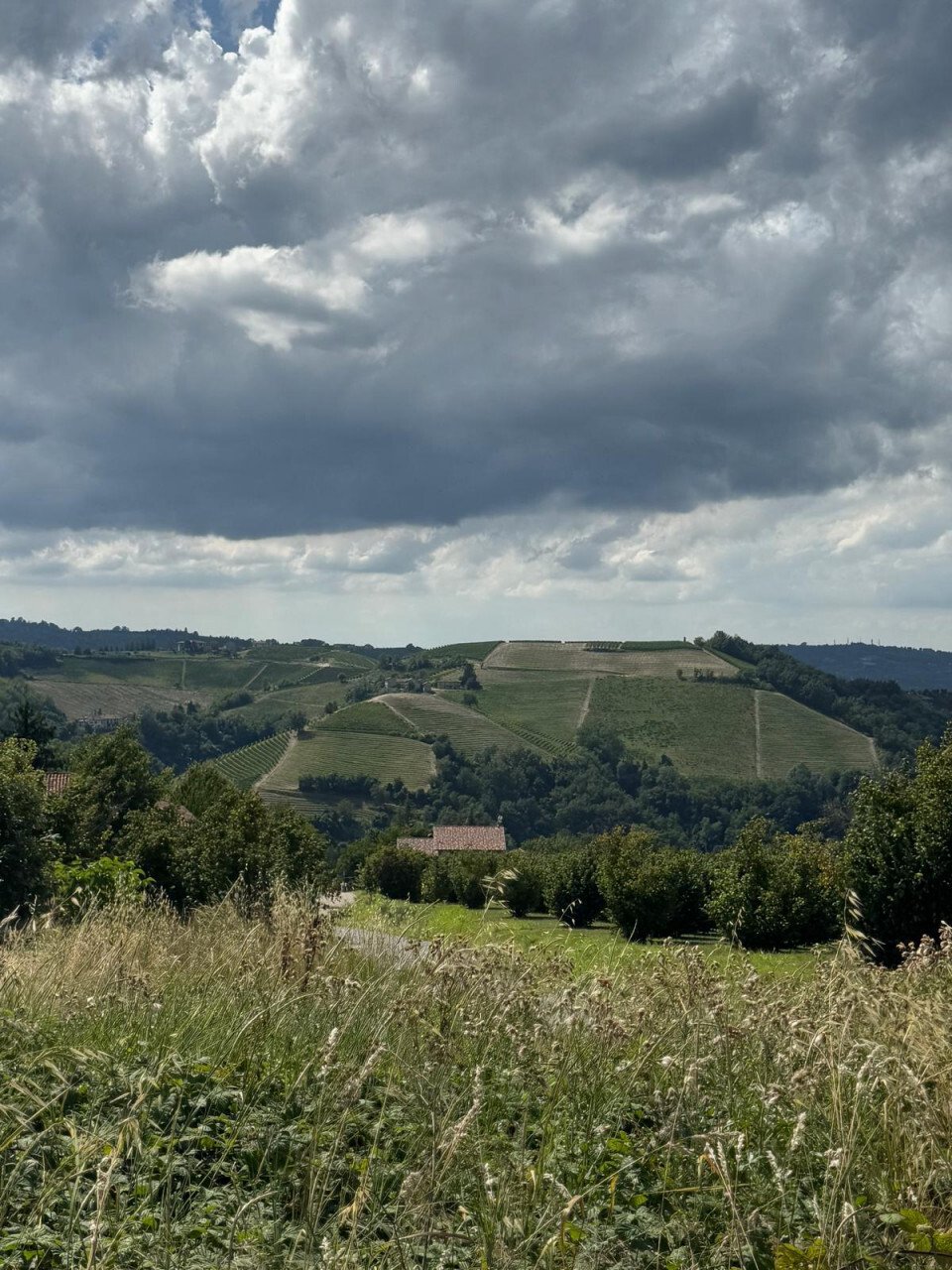 Land in Sinio, Piedmont, Italy 2 - 16812430