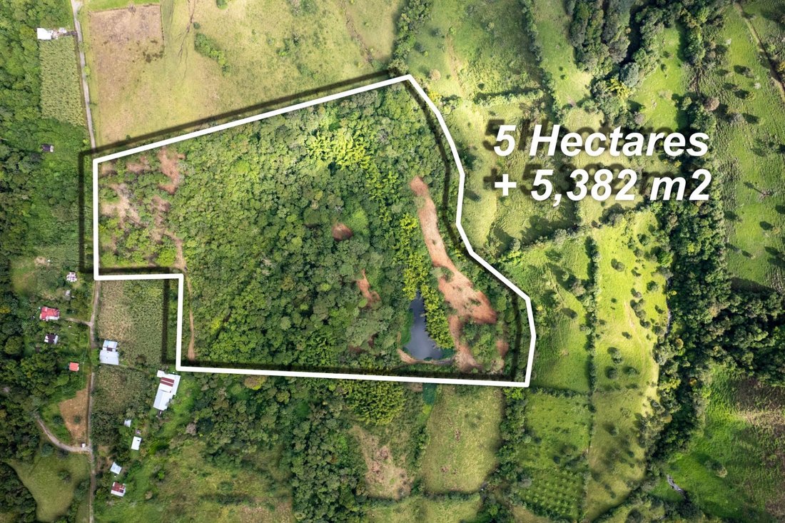 Land in Rovira Abajo, Chiriquí Province, Panama 2 - 16813128