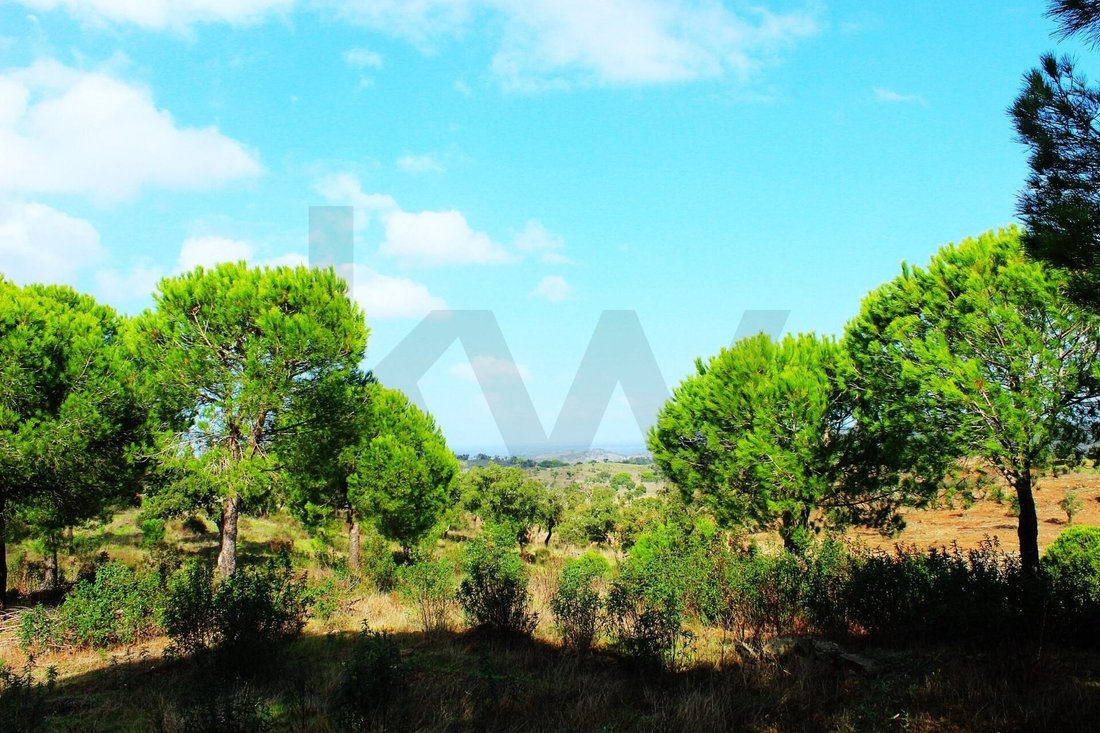 Terrain à Grandola et Santa Margarida da Serra, Setúbal Municipality, Portugal 5 - 16813074