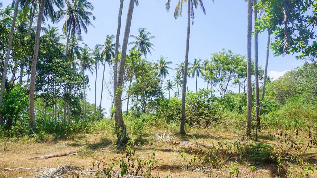 Land in Tangalle, Southern Province, Sri Lanka 3 - 16813435