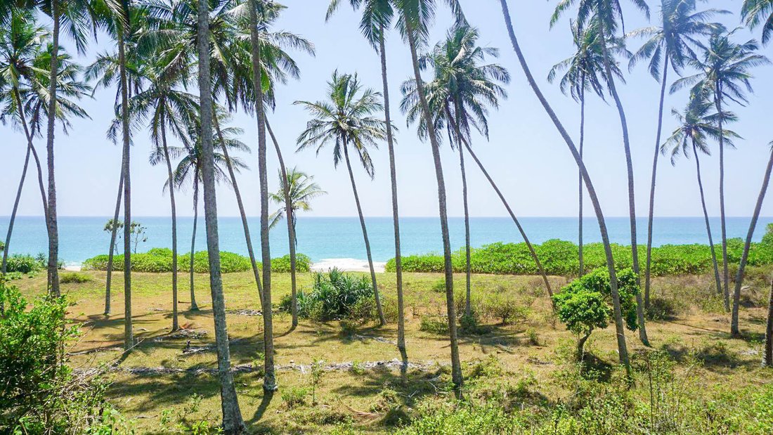 Land in Tangalle, Southern Province, Sri Lanka 1 - 16813435