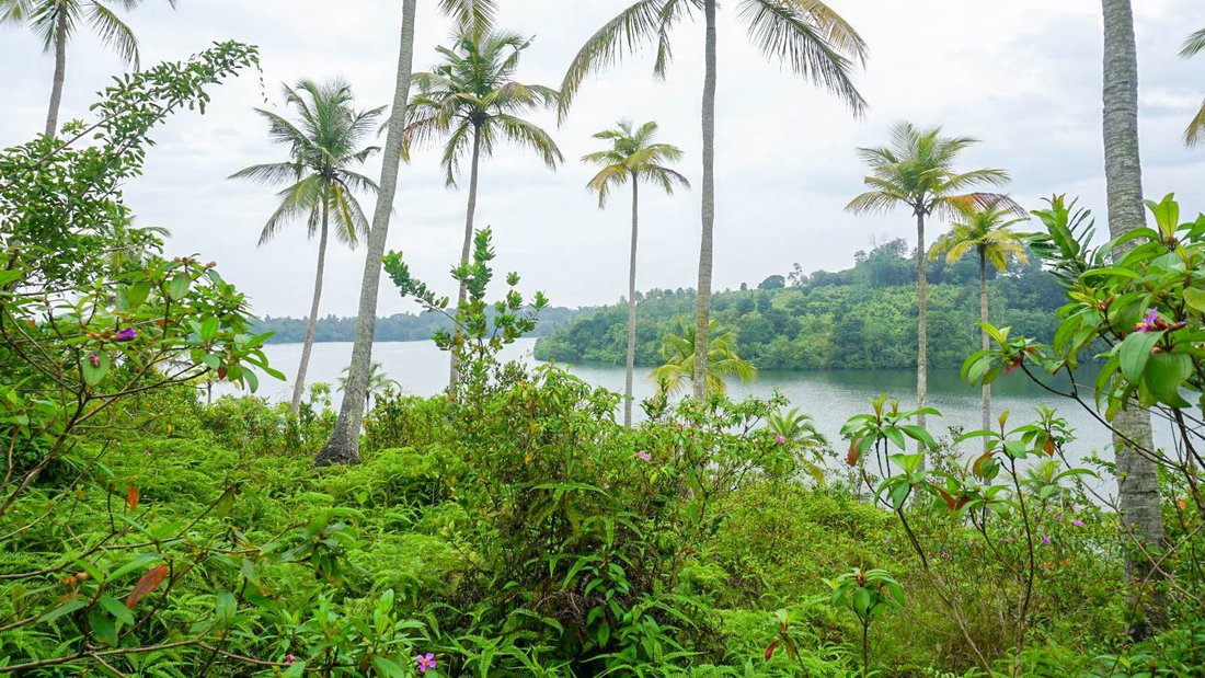Land in Hikkaduwa, Southern Province, Sri Lanka 3 - 16813096