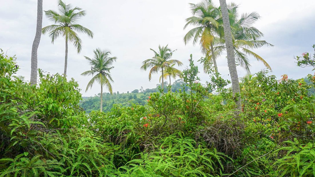 Land in Hikkaduwa, Southern Province, Sri Lanka 2 - 16813096
