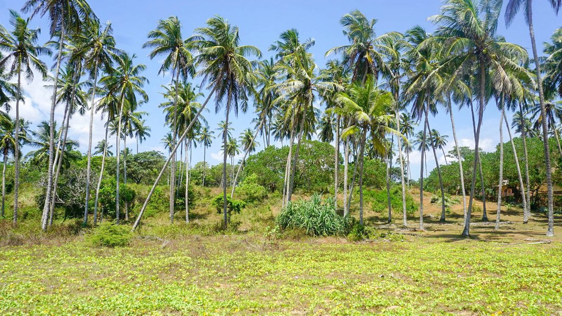 Land in Tangalle, Southern Province, Sri Lanka 2 - 16813435