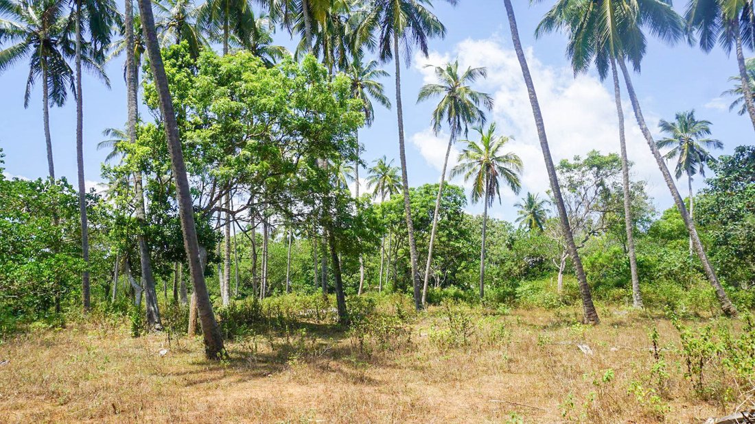 Land in Tangalle, Southern Province, Sri Lanka 4 - 16813435