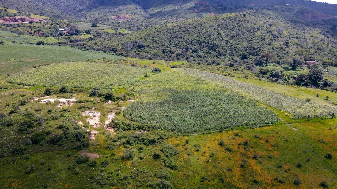 Terrain à Tapalpa, Jalisco, Mexique 2 - 16813687