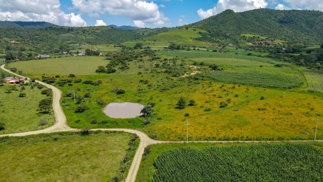 Terrain à Tapalpa, Jalisco, Mexique 1 - 16813687