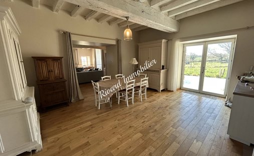 Beautiful 19th C. Chateau On The Banks Of The Loire River, 25 Minutes From Angers.