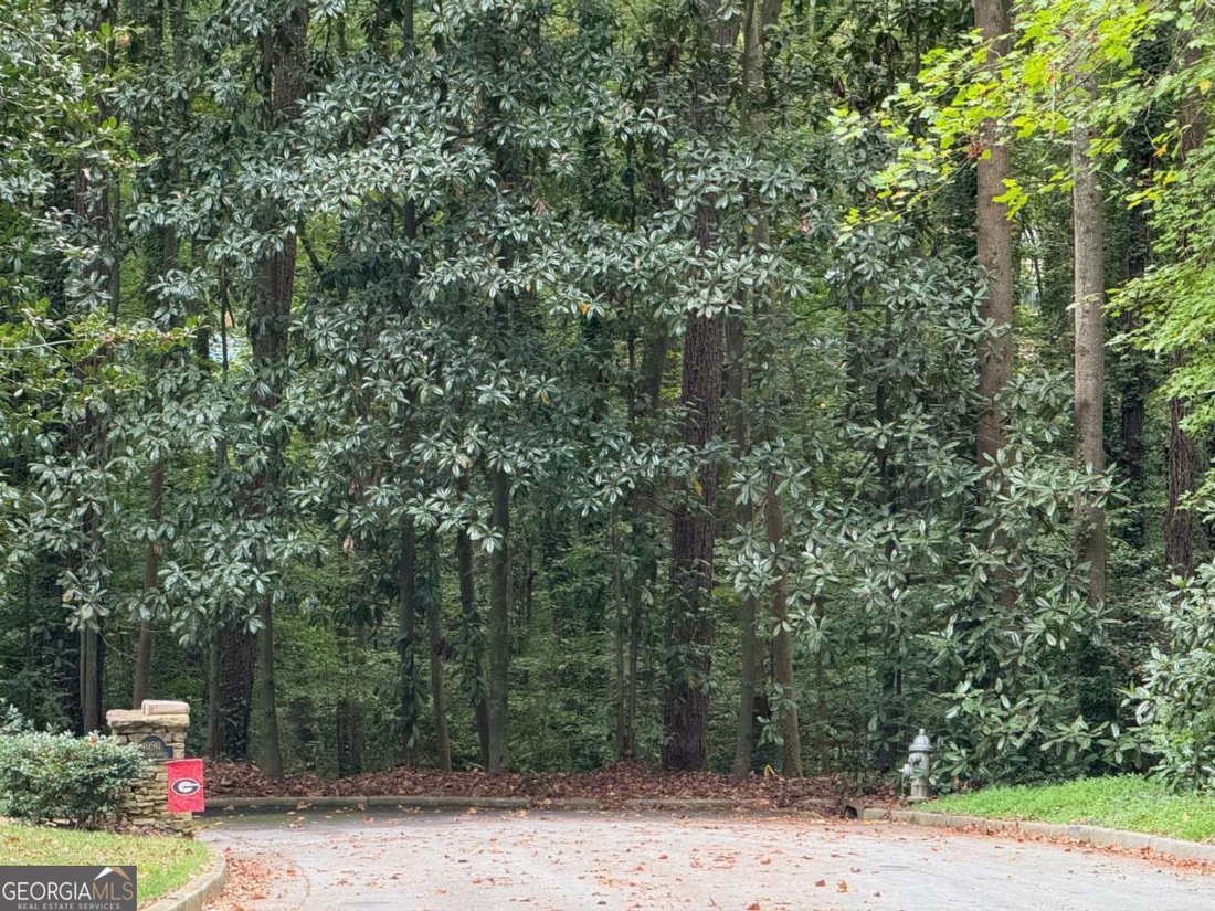 Land in Atlanta, Georgia, United States 4 - 16816941