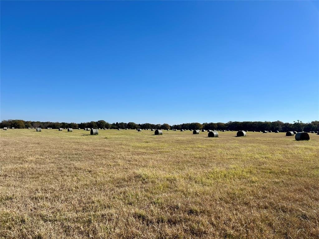 House in Eustace, Texas, United States 5 - 16816480