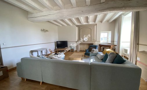 Beautiful 19th C. Chateau On The Banks Of The Loire River, 25 Minutes From Angers.