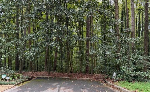 Terreno a Atlanta, Georgia, Stati Uniti 1