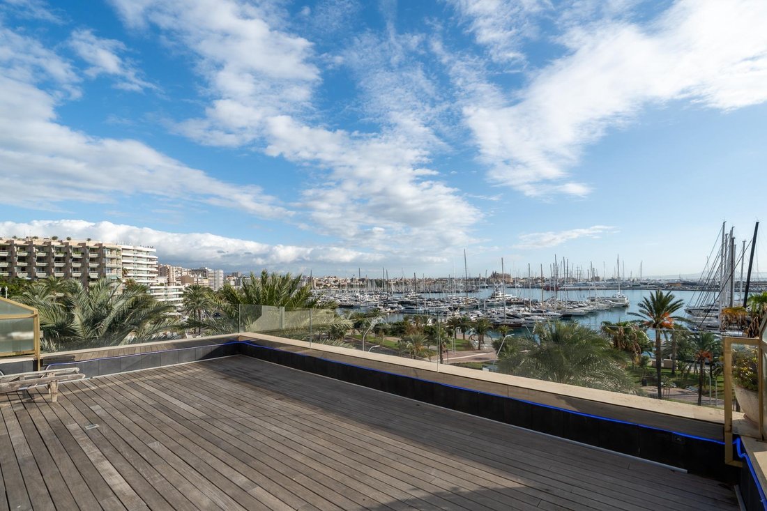 Apartment in Palma, Balearic Islands, Spain 4 - 16818339