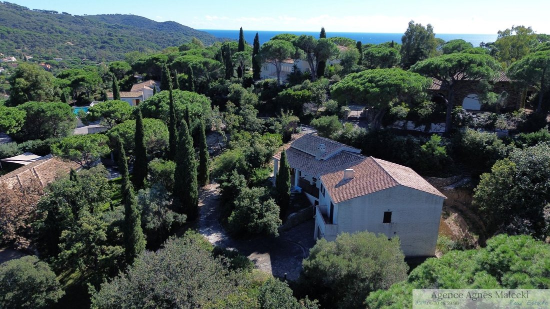 Finca en La Croix-Valmer, Provenza-Alpes-Costa Azul, Francia 1 - 16202752