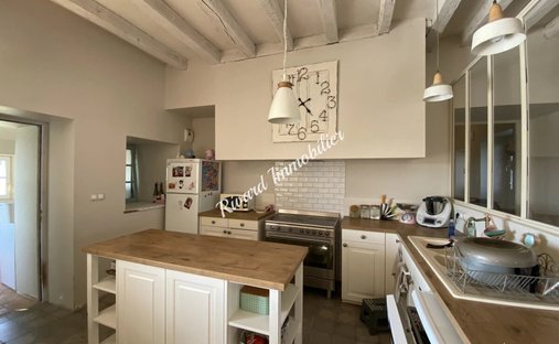 Beautiful 19th C. Chateau On The Banks Of The Loire River, 25 Minutes From Angers.