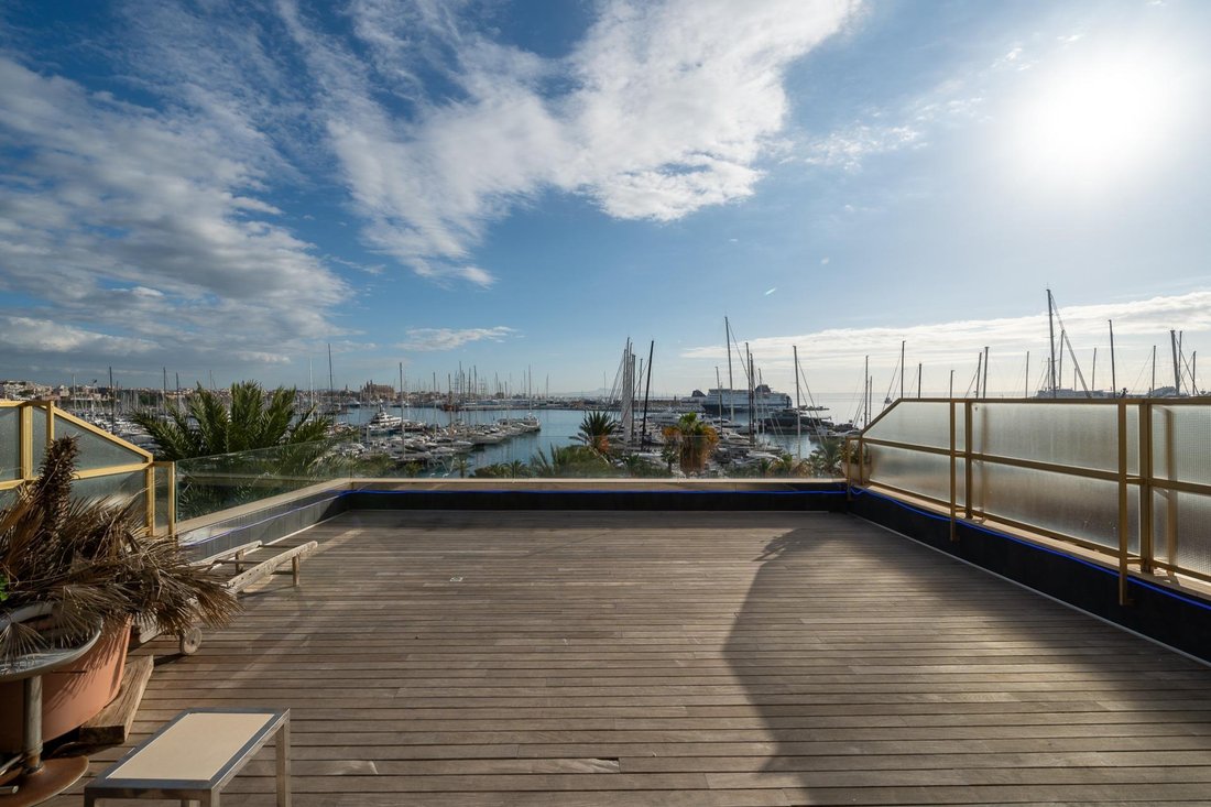 Apartment in Palma, Balearic Islands, Spain 3 - 16818339