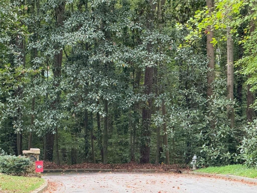 Land in Atlanta, Georgia, United States 4 - 16816946