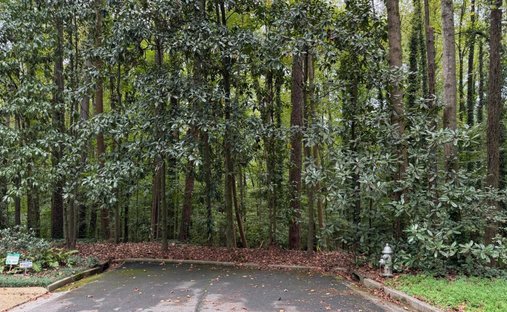 Land in Atlanta, Georgia, United States 1