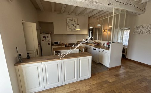 Beautiful 19th C. Chateau On The Banks Of The Loire River, 25 Minutes From Angers.