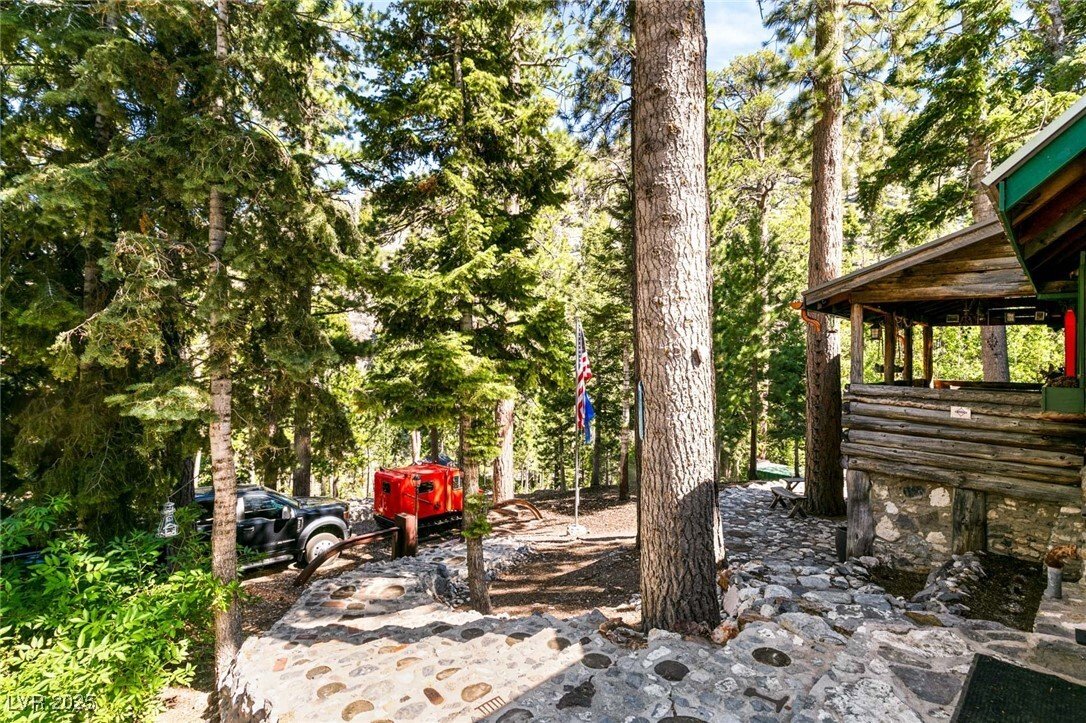 House in Mount Charleston, Nevada, United States 4 - 16818233