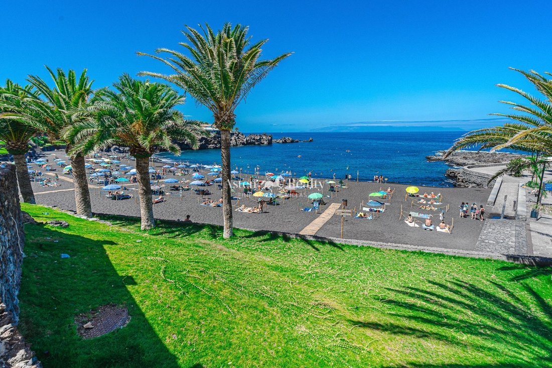 Acantilados de Los Gigantes, Canary Islands, Spain 2 - 16815015