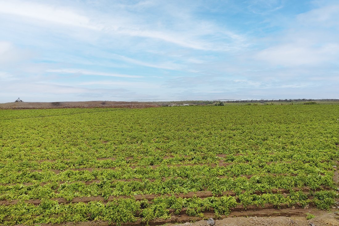 Land in Chancayllo, Lima Region, Peru 1 - 16818154