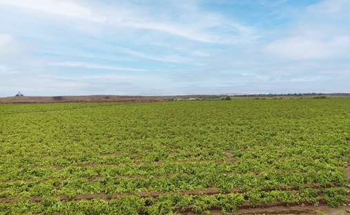 Land in Chancayllo, Lima Region, Peru 1