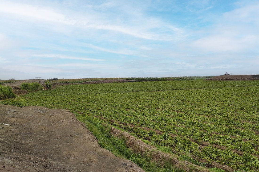 Land in Chancayllo, Lima Region, Peru 2 - 16818154