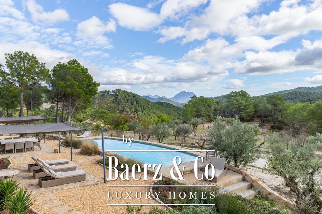 Finca in la Torre de les Macanes / Torremanzanas, Valencian Community, Spain 2 - 16305729