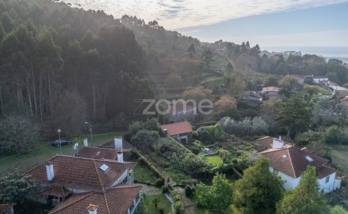 Finca in Afife, Viana do Castelo District, Portugal 1