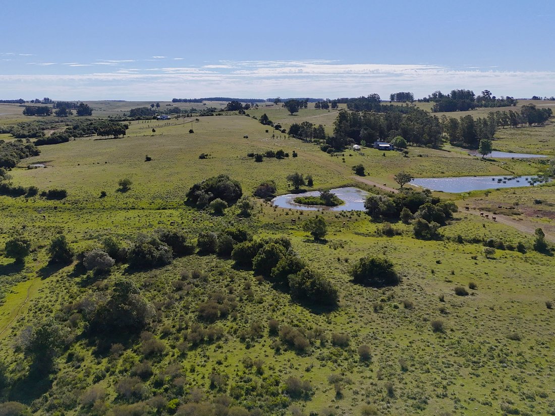 Estate in José Ignacio, Maldonado Department, Uruguay 2 - 16818865