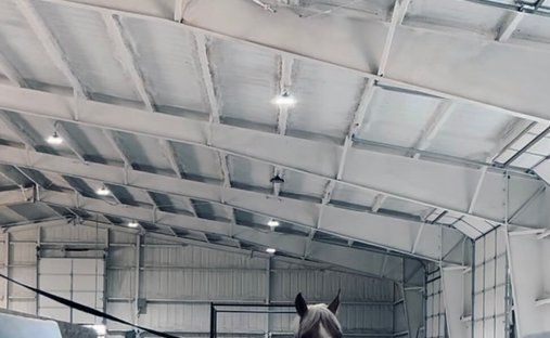 Farm Ranch in Stephenville, Texas, United States 1