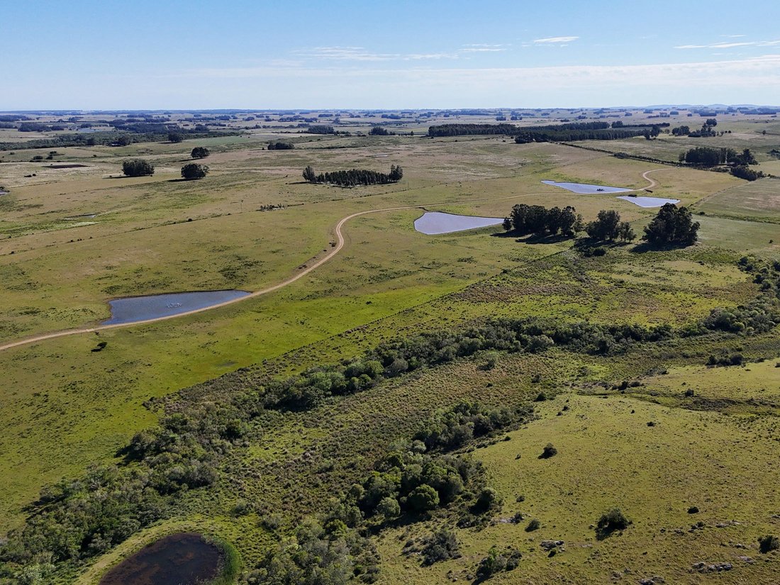 Estate in José Ignacio, Maldonado Department, Uruguay 4 - 16818865
