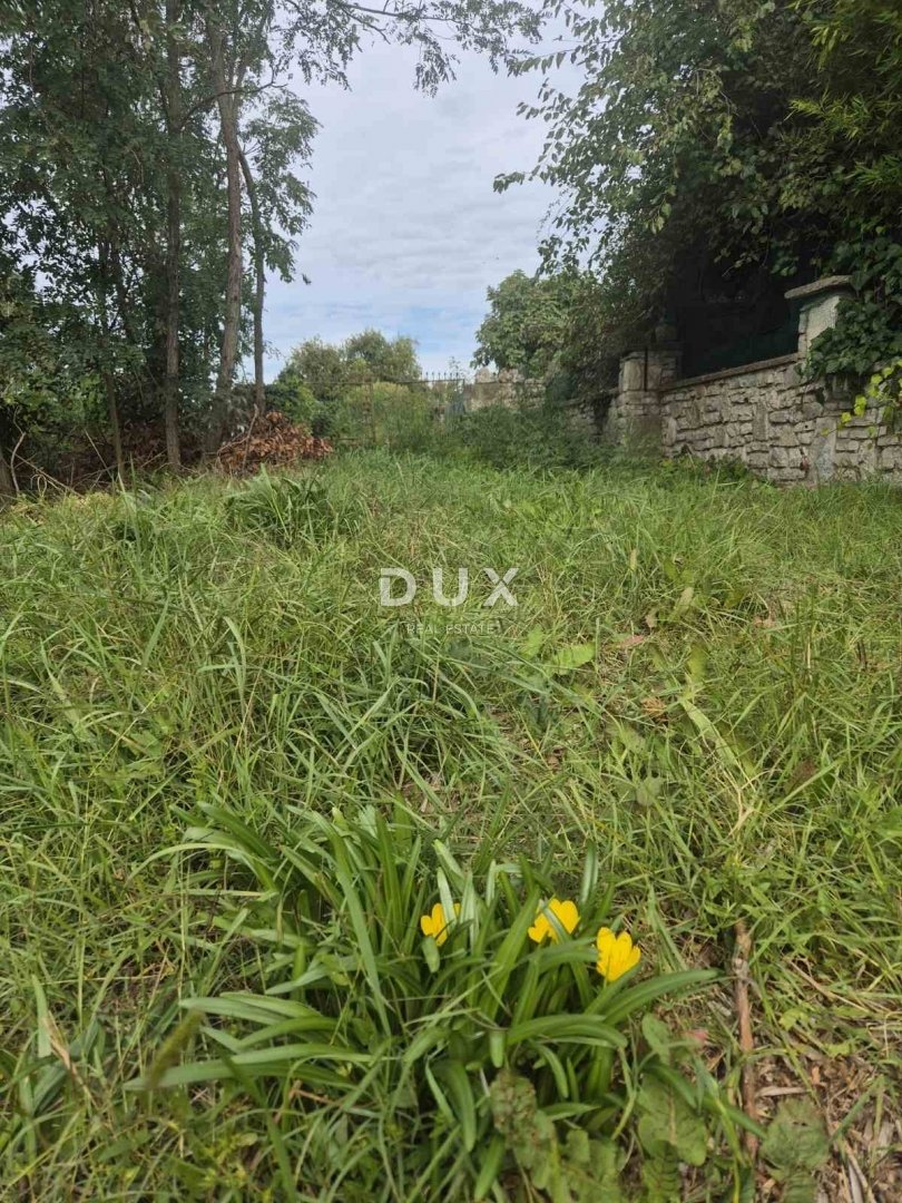 House in Bale, Istria County, Croatia 4 - 16816991