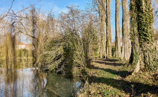 Castle for Sale in Vesoul, Bourgogne-Franche-Comté, France